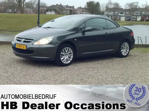 Peugeot 307 CC 2.0-16V * Storing cabrio dak !! (bj 2005)