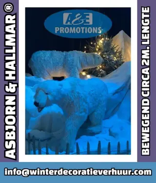 Ijsberen bewegend verhuur flevoland dronten