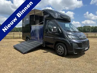 Fiat Ducato 2-paards paardenvrachtwagen B-rijbewijs NIEUW Automaat