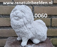 Chow Chow hond. nr 0060.
