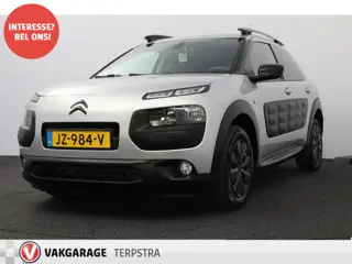 Citroën C4 Cactus 1.6 BlueHDi Business /Navi /Climat /Cruise /Elek. pakket /Bluetooth /Multi. Leder 