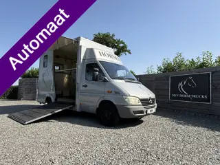 Mercedes-Benz Sprinter | HORSETRUCK | TVW | CLASSIC 3XL | 2002 | AUTOMAAT | 162.147KM | L2 | 3-SEAT 