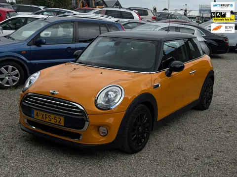 Mini 3-Deurs 1.5 Cooper First Born Edition Vol Optie Automaat Headsup Leer Camera Clima Cruise