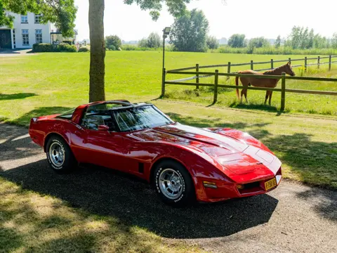 Chevrolet Corvette T-Roof/Targa 1 YZ 87