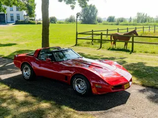 Chevrolet Corvette T-Roof/Targa 1 YZ 87