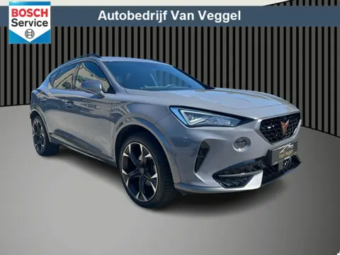 CUPRA Formentor 1.4 e-Hybrid Performance 245 pk navi, cruise, stoel/stuur verw, memory