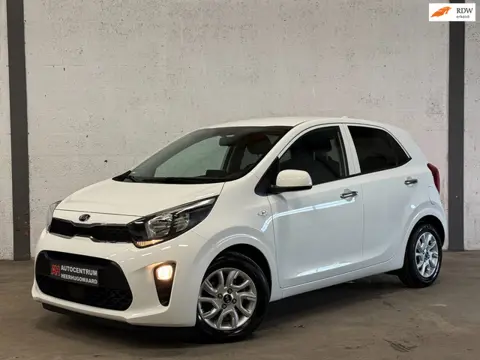 Kia Picanto 1.0 MPi DynamicPlusLine Navi|Camera|Clima|Carplay|Dealer Onderhouden !!