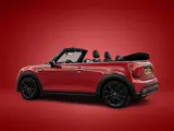 Foto 28 van MINI Cabrio 1.5 Cooper Camden Piano-Pack/Leder/Sportstoelen/Carplay/Climate