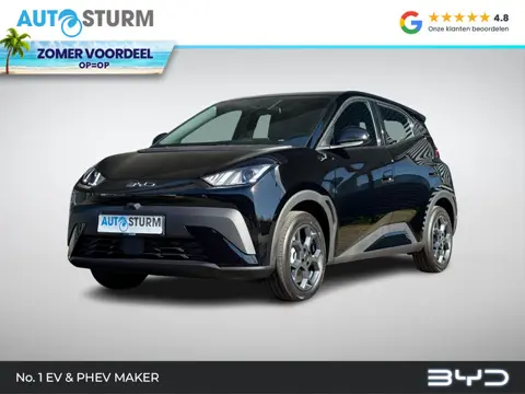 BYD DOLPHIN SURF Boost 43 kWh