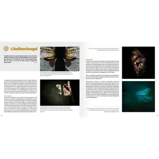 Handboek creatieve natuurfotografie
