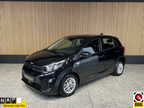 Kia Picanto 1.0 DPi DynamicLine NL auto | Camera | Navi | Cruise controle