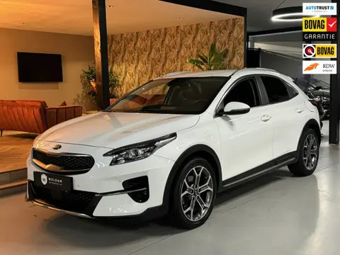 Kia XCeed 1.5 T-GDI Platinum Edition|Mild-Hybrid|Memory Leder|ACC|CarPlay|Stoelventilatie|Keyless|Ri