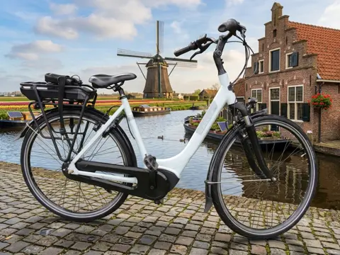 Gazelle Paris Framemaat 53 cm 400 Wh accu