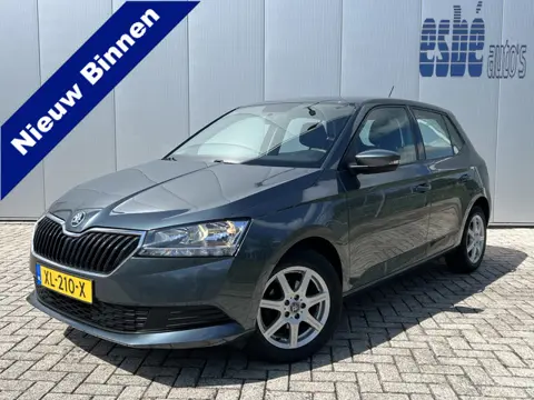 Škoda Fabia 1.0 5 Drs Active Trekhaak Airconditioning Lichtmetalen Velgen Bluetooth Elek Pakket 5 de
