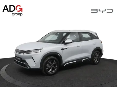 BYD ATTO 2 DM-i Boost NIEUW | 1000 km | Apple Carplay | Navigatie | 360 graden camera