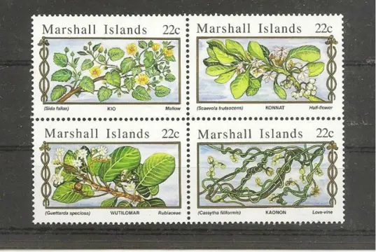 Medicinal Plants,Marshall Islands