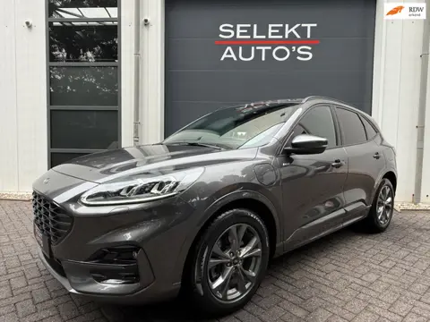 Ford Kuga 2.5 PHEV ST-Line X 224 Pk Cruise/Climate/Leder/Alcantara/Car Play/B&O/Head Up/Navigatie/PD