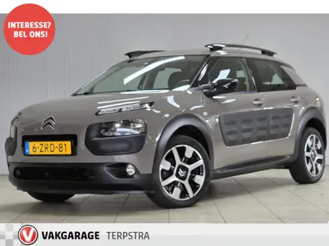 Citroën C4 Cactus 1.6 BlueHDi Business/ D-Riem verv! Trekhaak/ Camera/ Panorama-Dak/ DAB+/ 17'' LMV/