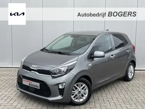 Kia Picanto 1.0 DPi DynamicLine Automaat Navigatie ( Via Apple Carplay/Android auto ), 14"Lm, Stoel/