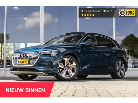 Audi e-tron e-tron 55 quattro advanced Pro Line Plus 95 kWh | 360° Camera | Pano | Trekhaak