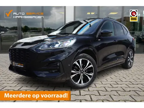 Ford Kuga 2.5 PHEV ST-Line X | ACC | B&O | Camera |