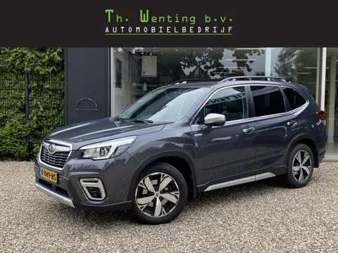 Subaru Forester 2.0i e-BOXER First Edition | Adaptieve Cruise Control | Stuurwielverwarming | Naviga