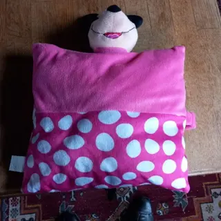 Droomkussen heerlijk zacht kussen