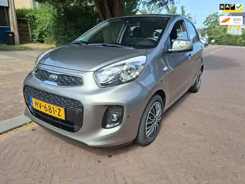 Kia Picanto AUTOMAAT/ 46.000 NAP / cruise control / UNIEK