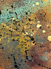 13.13. (1981) - 0215022023