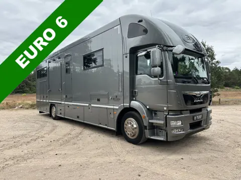 MAN TGM 19T STX 6-paards paardenvrachtwagen LIVING