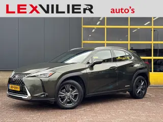 Lexus UX 250h Business Line  incl 12 maanden BOVAG Garantie
