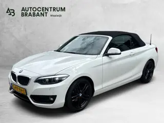 BMW 2-serie Cabrio 218i High Executive (Goed OnderH, Navi, StoelV, Cruise Con, Parkeersensoren, Etc)