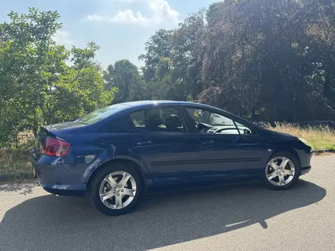 Peugeot 407 2.0-16V SCHUFDAK (bj 2007)
