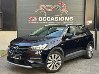Opel Grandland X 1.2 Turbo Business Executive - Lane Assist - DH Herkening - Cruise