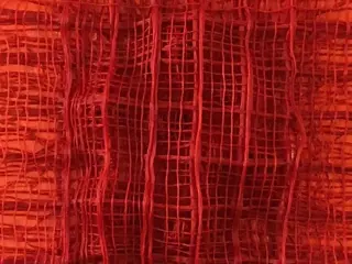 Marc Bertin (Marcotte) (XX-XXI) - Synaptique orange