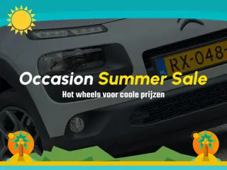 Citroen C4 Cactus 1.2 PureTech Shine - Gris Aluminium - Camera/Clima/Cruise - Nieuwstaat