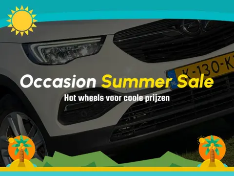 Opel Grandland X 1.2 Turbo Business Edition - Summit White - Camera/Carplay/Clima