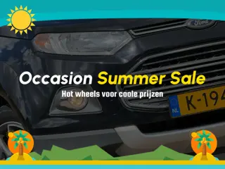 Ford EcoSport 1.0 EcoBoost Titanium - Panther Black - Nav/Winterpakket/Cruise