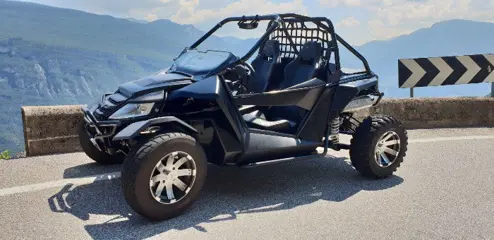 2014 Arctic Cat Wildcat 1000 X Limited quad/atv