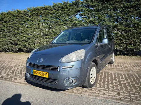 Peugeot Partner Tepee 1.6 e-HDi Active