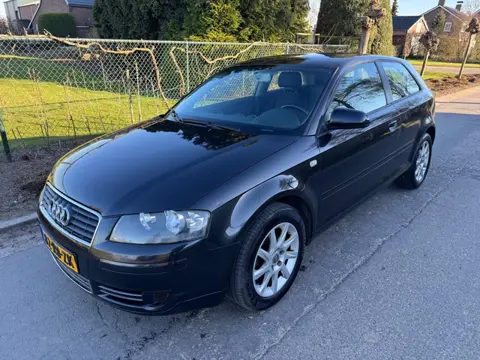 Audi A3 1.6 Attraction Airco Cruise Lm velgen
