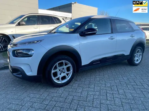 Citroen C4 Cactus 1.2 PureTech Business Garantie