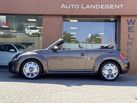 Volkswagen Beetle Cabriolet 1.4 TSI Design 70's Zeer uniek!