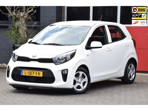 Kia Picanto 1.0 DPi ComfortLine 5p 2021 Airco Cruise Control 15x op voorraad