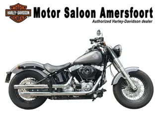 Harley-Davidson FLS SOFTAIL SLIM (bj 2015)