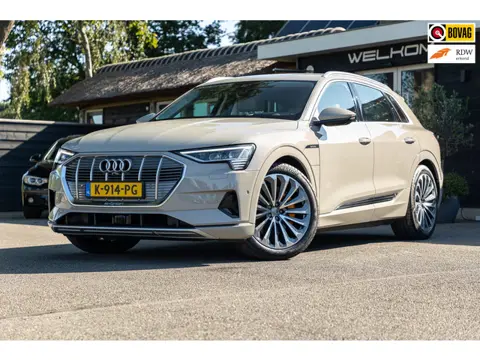 Audi E-tron E-tron 55 quattro advanced Pro Line Plus 95 kWh Soh 95% I Siambiege I Luchtvering I Stoe