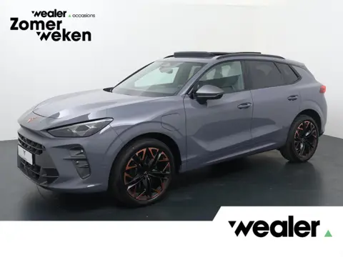 CUPRA Terramar 1.5 TSI e-Hybrid VZ America s CUP | 272 PK | SoH 100% | Panoramadak | 360 graden came