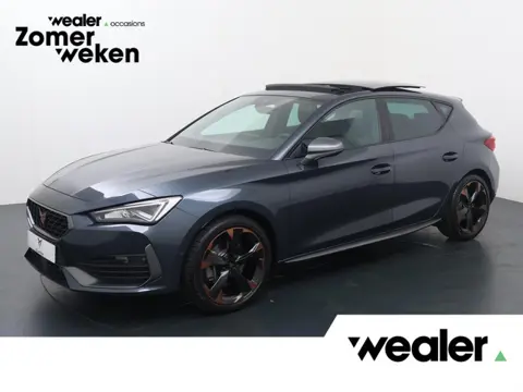 CUPRA Leon 1.5 eTSI FR Business Intense | 150 PK | Automaat | Panoramadak | Beats audio | 18" LM vel