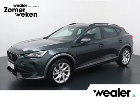 CUPRA Formentor 1.4 TSI e-Hybrid Essential | 204 PK | SoH 91% | Adaptive cruise control | Apple Carp