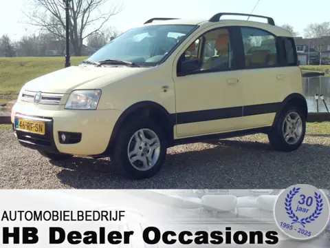 Fiat Panda 1.2 Professional 4x4 - Airco - Navigatie